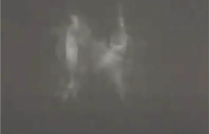 Fig.  3.  ‘TechiEon’  creates  holographic  images  in  real  time  using  Taekkyeon's  flashy  movements