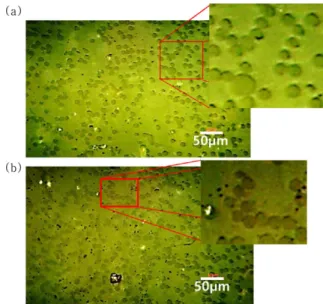 Fig. 3. Optical microscope image of cross section of (a) GP35, (b) GP40 