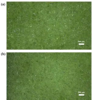 Fig. 2. Optical microscopy images of cell formed by (a) propeller and (b) dispersed turbine.