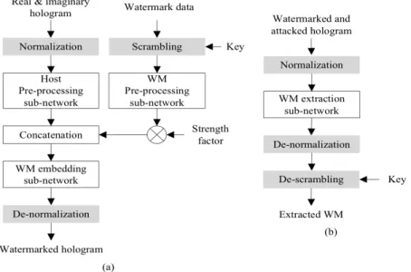 Fig.  2.  The  proposed  hologram  watermarking  scheme;  (a)  WM  embedding  procedure,  (b)  WM  extraction  procedure 