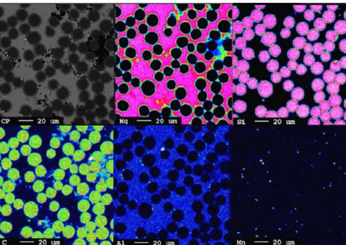 Fig. 3. SEM-EDS analysis of as-fabricated SiC f -AZ91 composites 