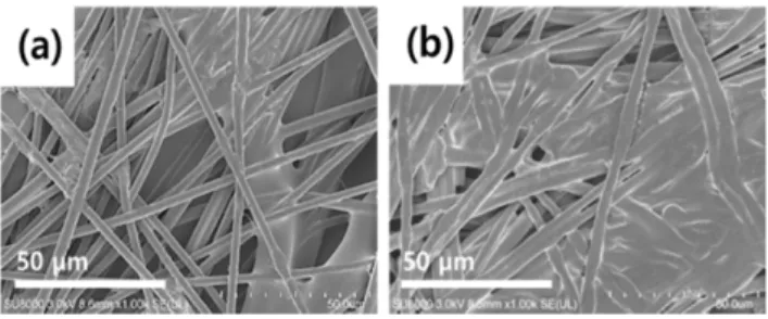 Fig. 4. FE-SEM  image  of  LM-PET  sheet:  (a)  before  compression process and (b) after compression process 