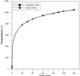 Fig. 5. Standard time-temperature curve.