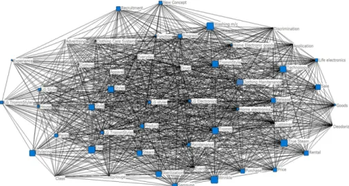 Fig. 4. Concor visualization of key words.