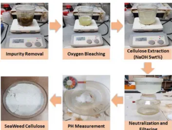 Fig. 1. The extraction process of seaweed cellulose