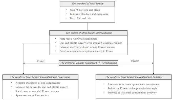 Fig. 1. The conceptual model of ideal beauty internalization.