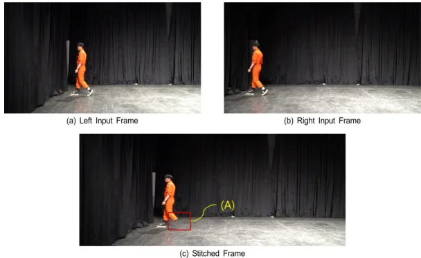 Fig.  9.  Parallax  distortion  test  images