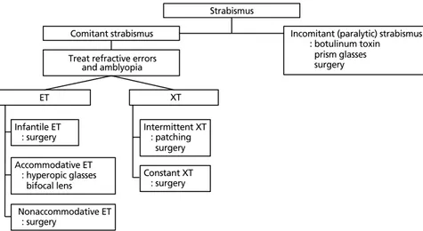Figure 1.  Management of strabismus. ET, esotropia; XT, exotropia.