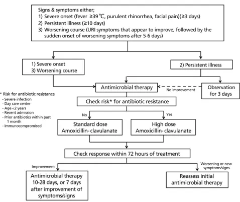 Figure 2.  Algorithm for treatment of acute rhinosinusitis in children. URI, upper respiratory tract infection