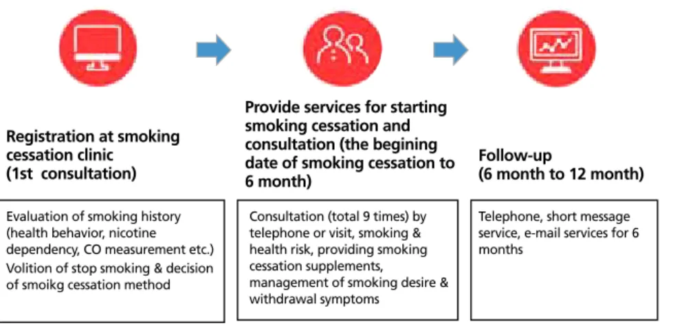 Figure 2.  Service procedure at smoking cessation clinic. Reproduced from Ministry of Health and Welfare et 