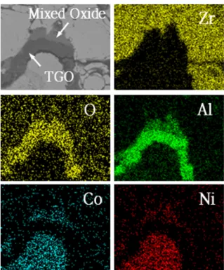 Fig. 6. Composition analysis of oxide by EDS mapping.