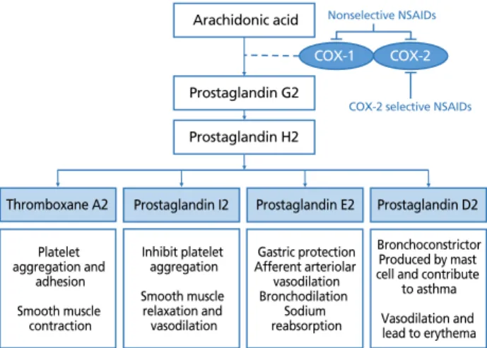 Figure 1.  Pathway of prostanoid formation and illustration of functions. NSAIDs,  non-steroidal antiinflammatory drugs; COX, cyclooxygenase.