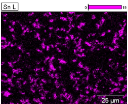 Fig. 11. SEM Image of BP_SAA_Tin(IV) oxide system