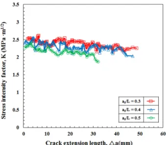 Fig. 6. The micrograph pattern of the crack extension with an  interlaminar delamination