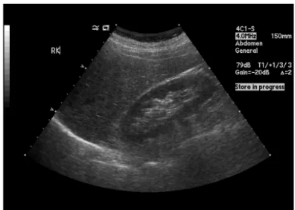 Fig.  1.  Input  image