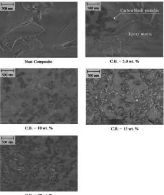 Fig. 6. SEM images of the enlarged matrix of the specimens with carbon black 