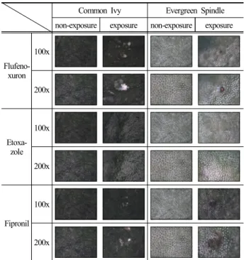 Table 3. Composition data by EDS