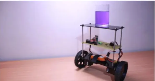 Fig.  1.  Arduino  Project-Self  Balancing  Robot[3]