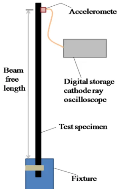 Fig. 1. Schematics of the experimental set-up for free vibration  