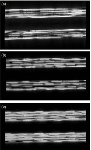 Fig. 8. Results of side slice image of CFT with different reinforce- reinforce-ment pattern using CT: (a) WS; (b) T; and (c) PF 