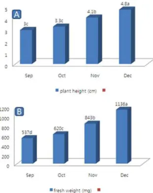 Figure 2. Plant growth parameters for shoots derived from petal explants collected during September to December and grown in hormone-free media with 1 gl-1 AC: A) mean plant height and B) mean fresh weight.