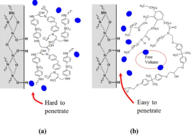 Fig. 8. Conceptual diagram about water penetration in different composites: (a) high branch; and (b) low branch 
