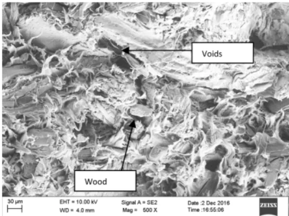 Fig. 13. SEM of Recycled PP matrix composite R6 after Water absorption test 