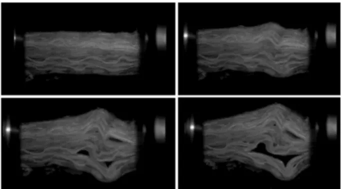 Fig. 9. The images of SRPP by the high speed camera and DIC 