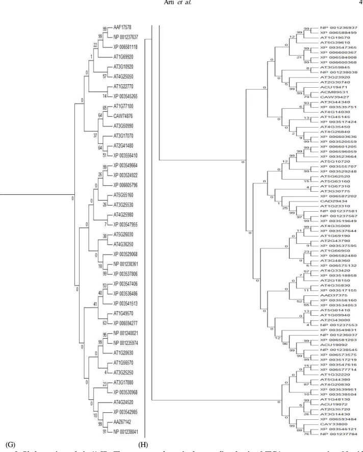 Figure 2. Phylogenetic analysis (A-H). The sequences determined were aligned using MEGA program version 6.0 with grouping based on NJ method using p-distance matrix for nucleotides, with pairwise gap deletion option adopted with 1000 bootstrap repetitions