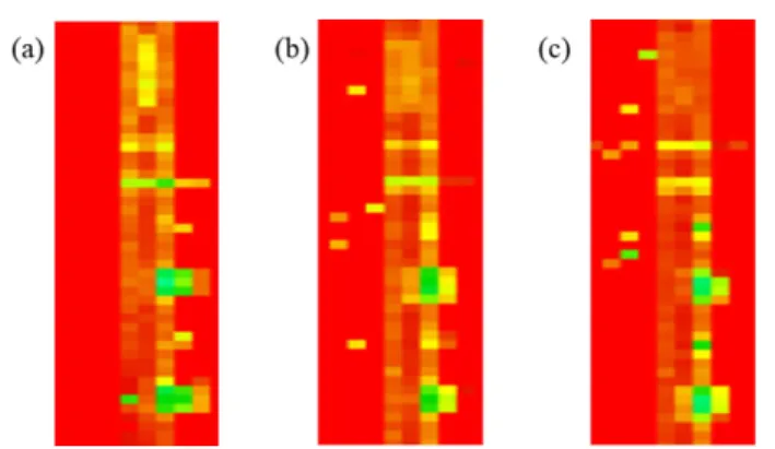 Fig. 5. Conventional C-scan inspection result: (a) inner defect between 2~3 layer, (b) center defect between 18~19 layer, and (c) outer defect between 34~35 layer 
