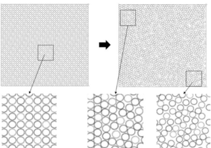 Fig. 2. Before and after the dynamic simulation of 40 × 40 fiber bundles 