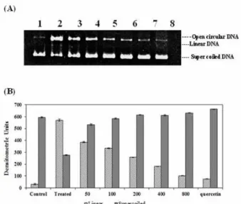 Figure 5. Oxidative DNA damage protecting potential of RTSE.