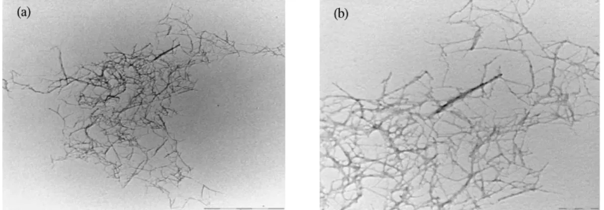 Figure 2. TEM images of the prepared CNFs at different magnifications. (a) x40,000 and (b) x100,000