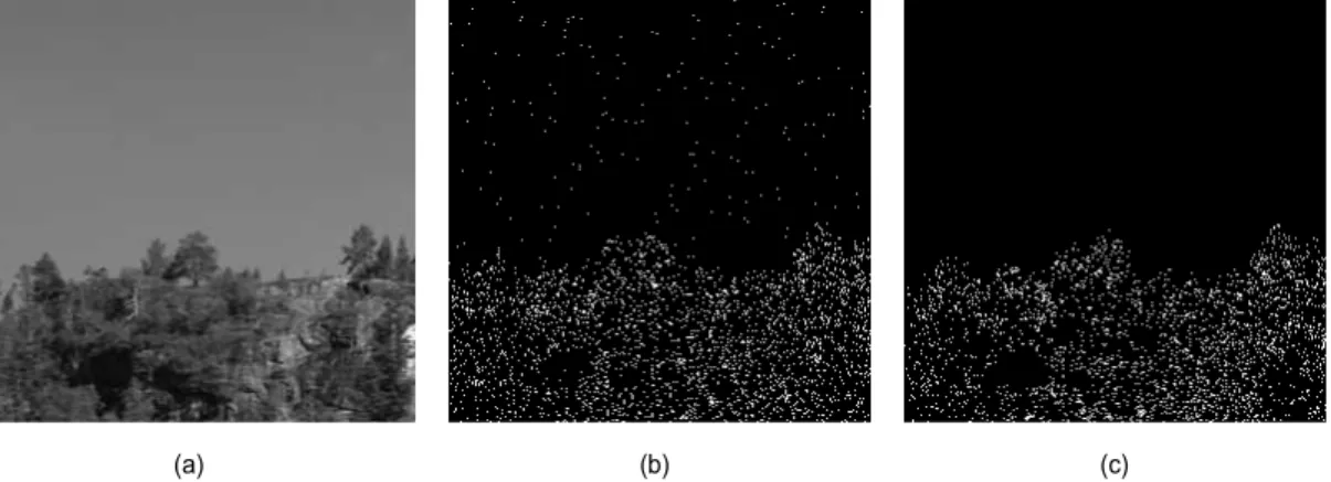 Fig.  7.  Secret  information  insertion  regions  by  S-UNIWARD  and  WOW.  (a)  Cover  image,  (b)  S-UNIWARD,  (c)  WOW