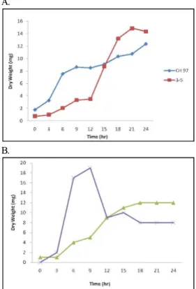 Figure 1. Growth curves for B. subtilis (A) and B.