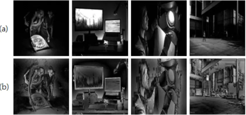 Fig.  3.  Resulting  images.  (a)  input  images,  f  and  (b)  reflectance  images,  rR