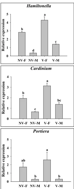 Fig 3. Comparison of densities of three endosymbionts between NV and V B. tabaci .