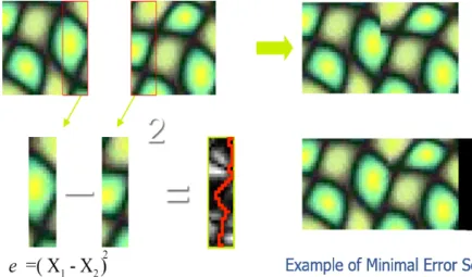 Fig.  1.  Example  of  minimal  error  seam  extracting
