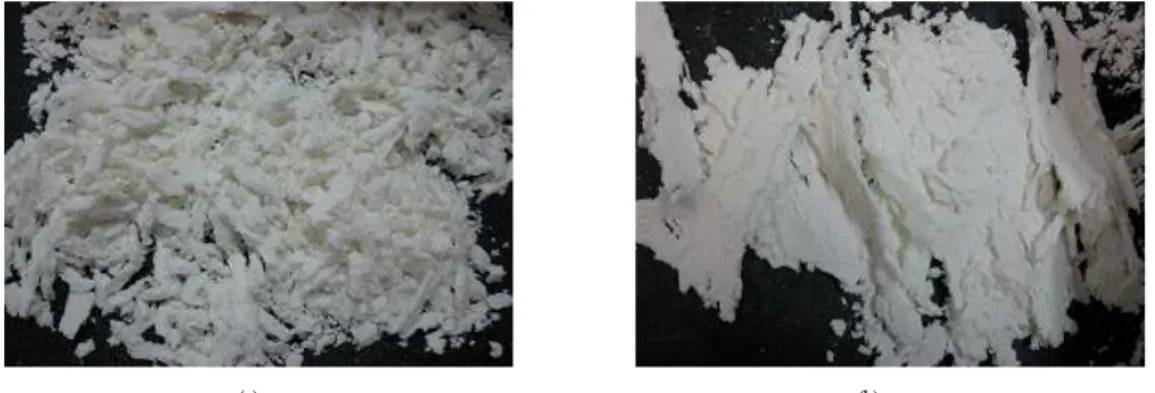 Fig 1. Effect of xanthan gum content on the preparation of rice noodle; (a) 0.5% and (b) 1%