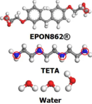 Fig. 1. Molecular structures of EPON862 ® , TETA and Water 