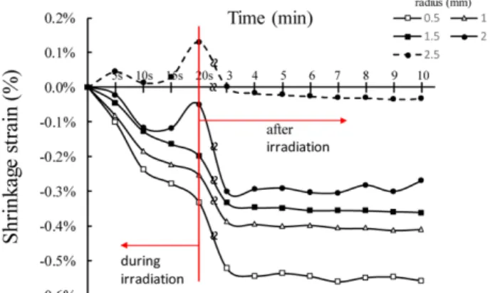 Fig. 6. Average radial shrinkage strain as a function of time during and LED irradiation 