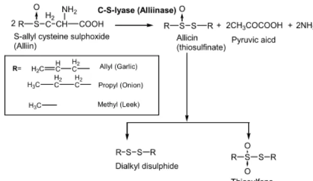 Fig. 5. Glucosinolate decomposition by myrosinase