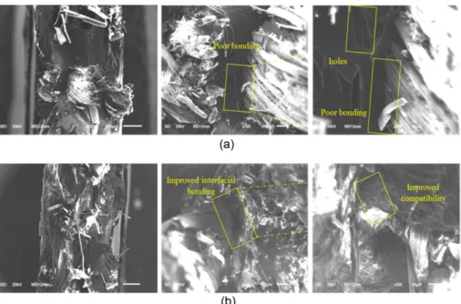 Fig. 5. Microscopic images of voids within the composites (a, b), OMMT dispersed within the composites (c) 