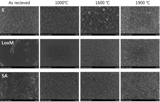 Fig. 3. SiC fiber surface observation after exposure at liquid silicon infiltration process temperature 