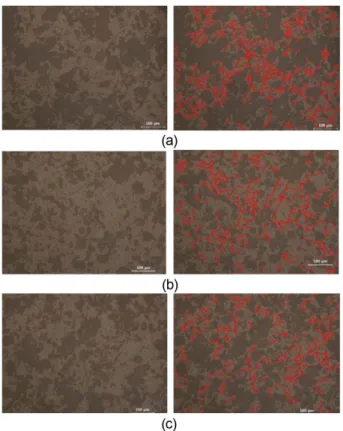 Fig. 8. Optical micrographs of surface after 1200 o C for 3000 cycles thermal shock test, (a) coating spray distance 100 mm, (b) 120 mm and (c) 140 mm