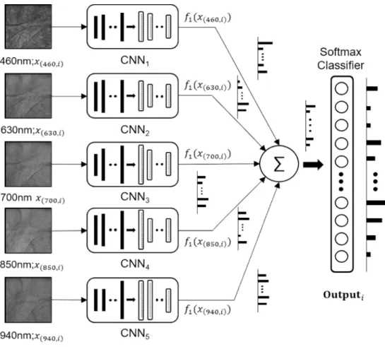 Fig.  4.  Proposed  ensemble  of  convolutional  neural  networks