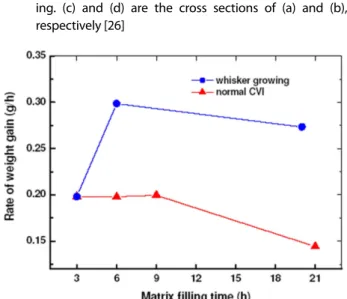 Fig. 9. Transmission electron micrographs of the matrix of SiC f / SiC composites prepared by (a), (b) the conventional CVI and (c), (d) the WA-CVI process [32] 