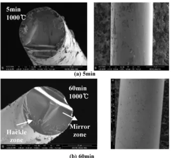 Fig. 14. Fracture surface of SiC fiber exposed to air at 1000 o C for different period of time : 5  min (a) and 60 min (b)  