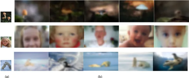 그림 4.  (a):  CIFAR-100  영상,  (b):  (a)를 쿼리로 이용하여 CBIR을 통해 획득한 영상들 (저작권 이유로 블러 처리) Fig