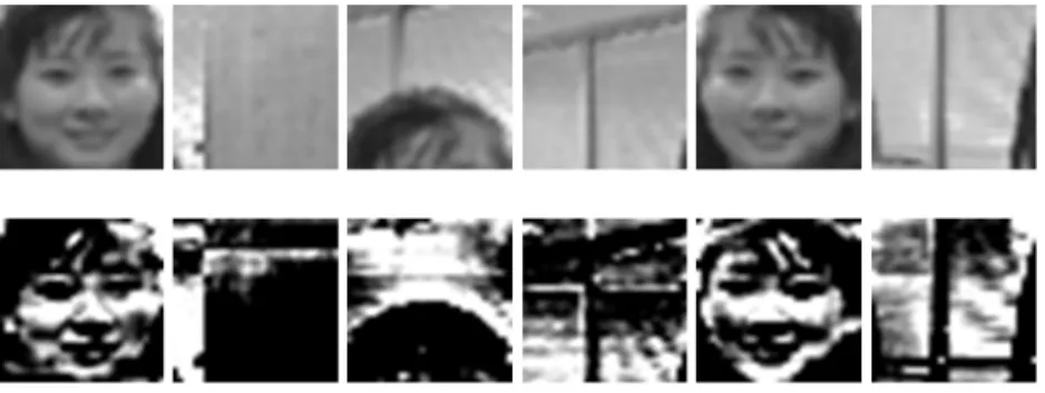 Fig.  3.  Whitening  transformation  (top  row:  original  images,  bottom  row:  transformed  images)